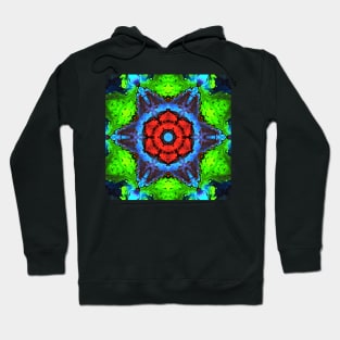 Psychedelic Kaleidoscope Red Blue and Green Hoodie